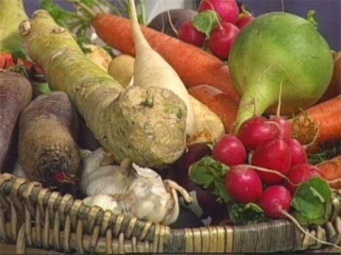 Förenlighet grönsaksodlingar vid plantering i växthuset: en gemensam anläggning i polykarbonat, plantering kombinerad