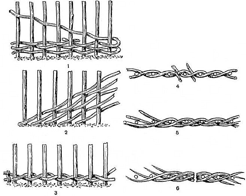 Various methods of braiding vines hedge