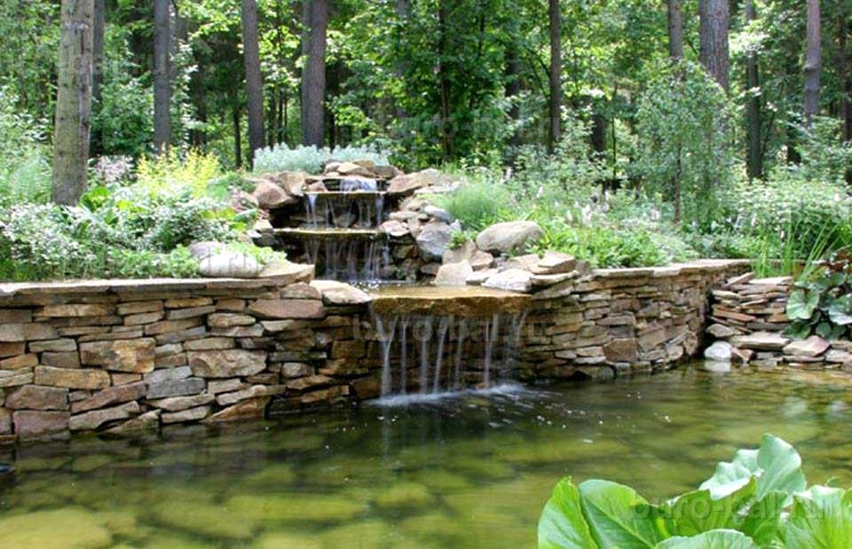 Pond with waterfall - a popular idea of ​​landscape design