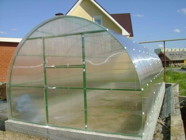 There are greenhouses of various sizes, which you can choose at your own discretion