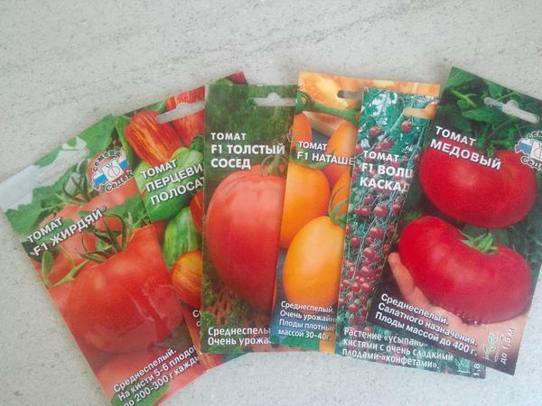 Bevor ein oder andere Sorten von Tomaten Wahl soll die Beschreibung auf der Rückseite der Verpackung mit Samen lesen