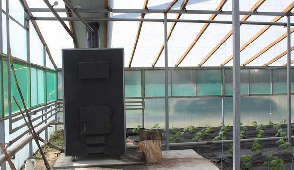 Each vegetable grower who decides to start heating the greenhouse may face the difficulty of choosing a boiler