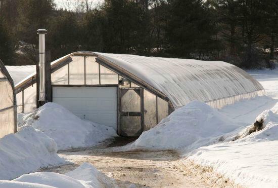 What to grow in a greenhouse in winter must decide for themselves every gardener