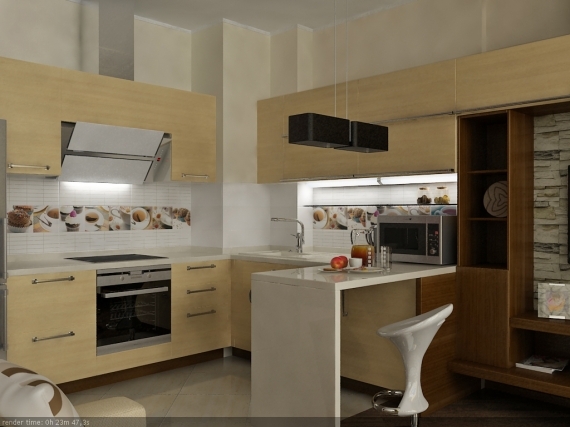 área de la cocina en el estudio de diseño de la habitación