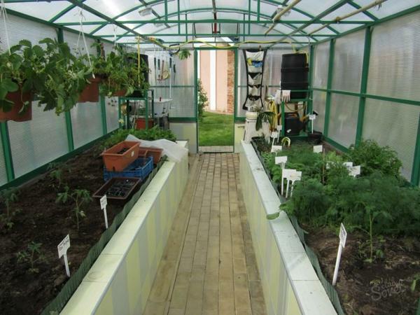Accepting the internal arrangement of the greenhouse, we should not forget about the arrangement of the shelves