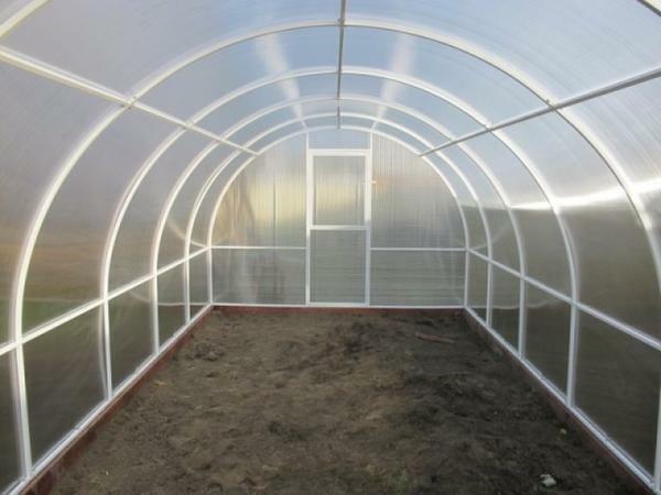 A greenhouse made of polycarbonate and a profile pipe is a good choice in the winter season