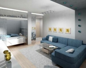 Des idées pour la réparation d'un appartement d'une pièce: décoration de la salle