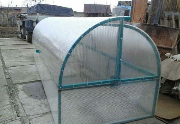 Greenhouse Bunny: drawing with dimensions, polycarbonate greenhouse with own hands, photo and reviews, how to make, video