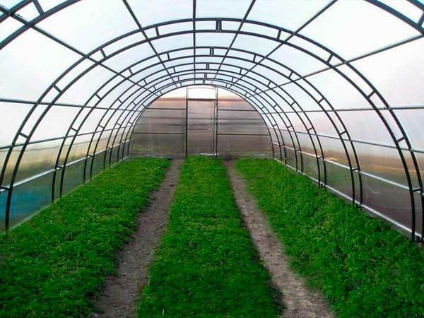 Untuk pembangunan pertanian rumah kaca harus dipilih kerangka tahan lama dan dapat diandalkan