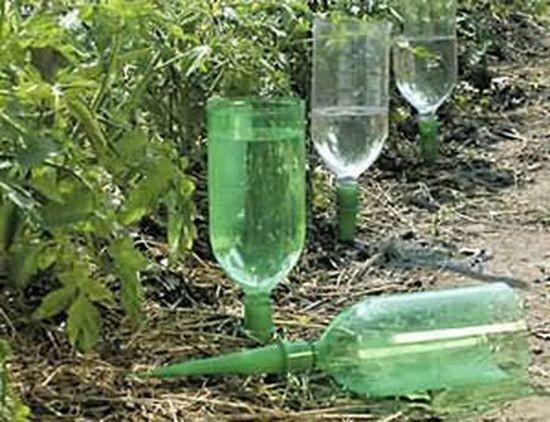 Você pode tentar construir uma estufas de irrigação por gotejamento com garrafas de plástico com as próprias mãos