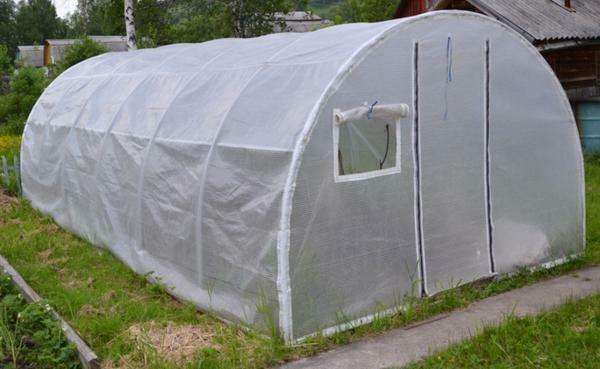El techo está hecho de policarbonato para invernaderos: cómo hacer un invernadero, cubrir con sus manos, en lugar de la membrana del techo, el dispositivo
