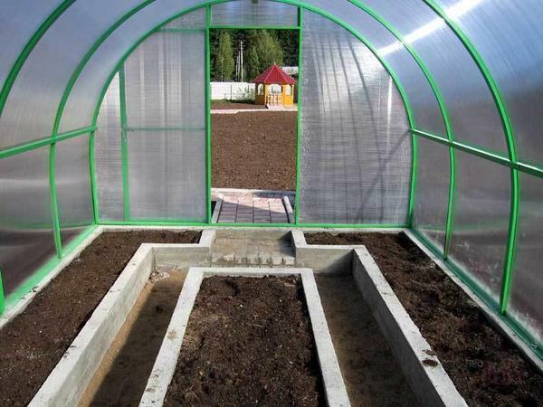 Before planting a tomato you need to process the very structure of the greenhouse