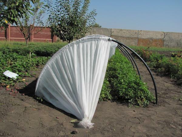 The greenhouse is equipped with strong and light arcs made of polymer