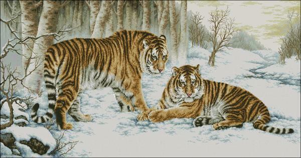 Poleg svetlobe okolij, Tigers zelo ekološki pogled na sliki s temnim ozadjem