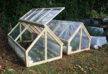 Wood-greenhouse