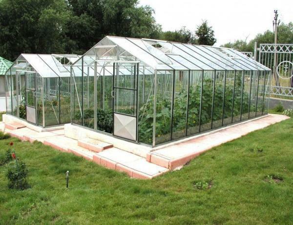 As a material for finishing greenhouses use different types of polycarbonate, as well as glass