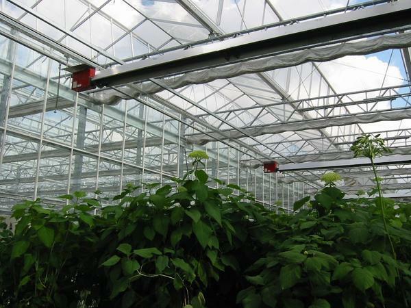 To get acquainted with the reviews about infrared heaters for greenhouses, you can easily on the Internet