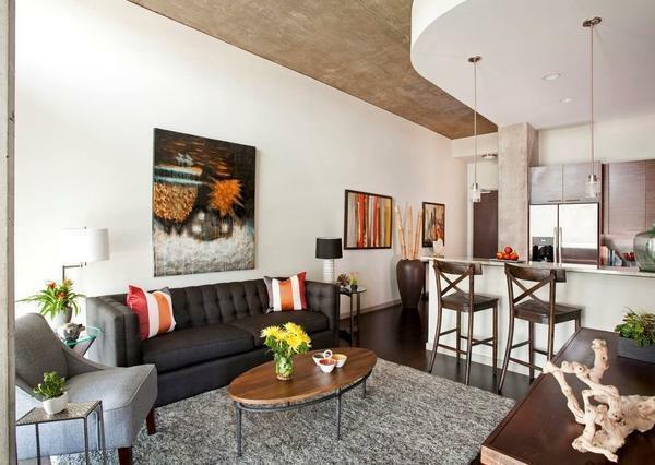 Övezeti nappali: split design, ülősarokkal, egy fénykép a szoba, tágas, stílus, a hely, keskeny