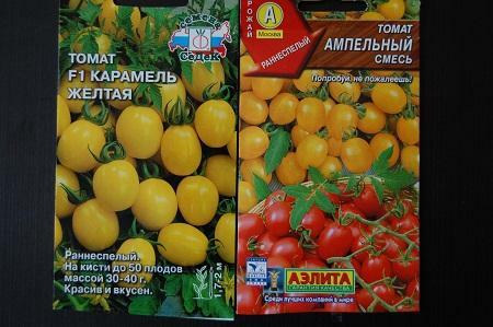 Cherry tomaten zijn zeer geschikt voor de teelt in een kas, ongeacht de grootte