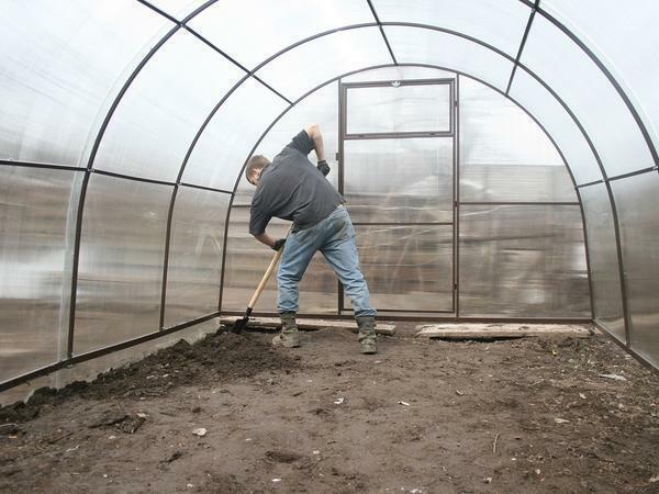 Para refrescar el suelo en el invernadero, es necesario excavar