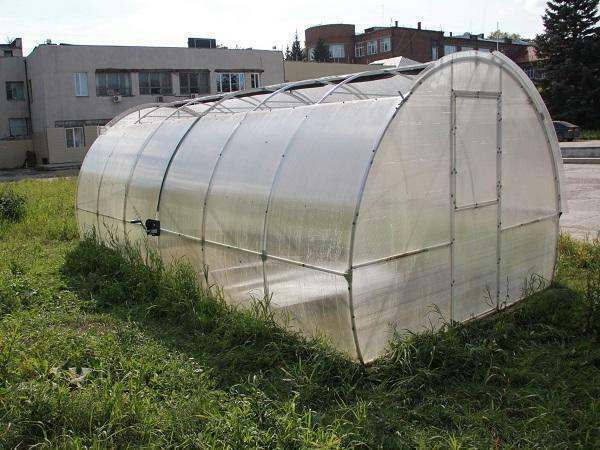 Greenhouse Clever from the manufacturer Metal service - high-quality and reliable construction