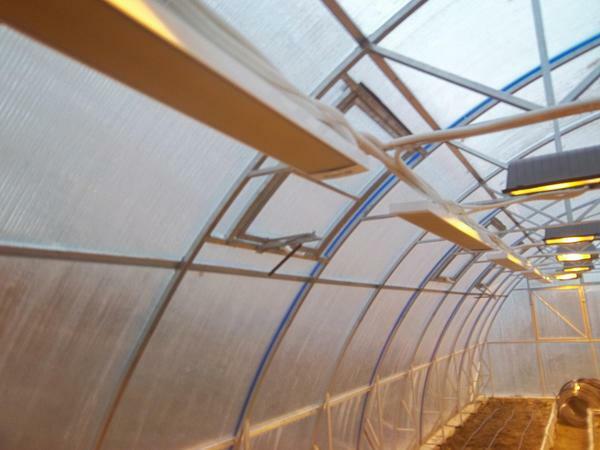 Infrardeči grelniki za polikarbonatne rastlinjake: strop ogrevanje, ogrevanje in ocene, plinske svetilke