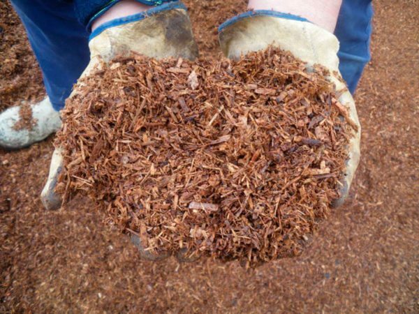 Het mengsel van afvalhout voor de bodem mulchen moet een boete uniforme consistentie hebben.