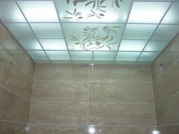 False ceiling with built-in waterproof backlit