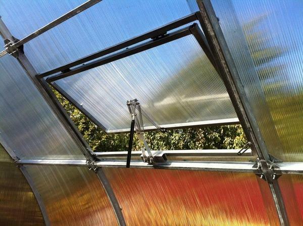 If the temperature in the greenhouse is too high, then it needs to be ventilated by opening the window leaf