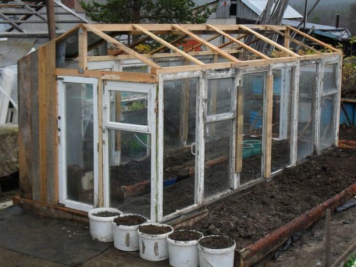 A greenhouse made of window frames is a quick and budget option for growing plants