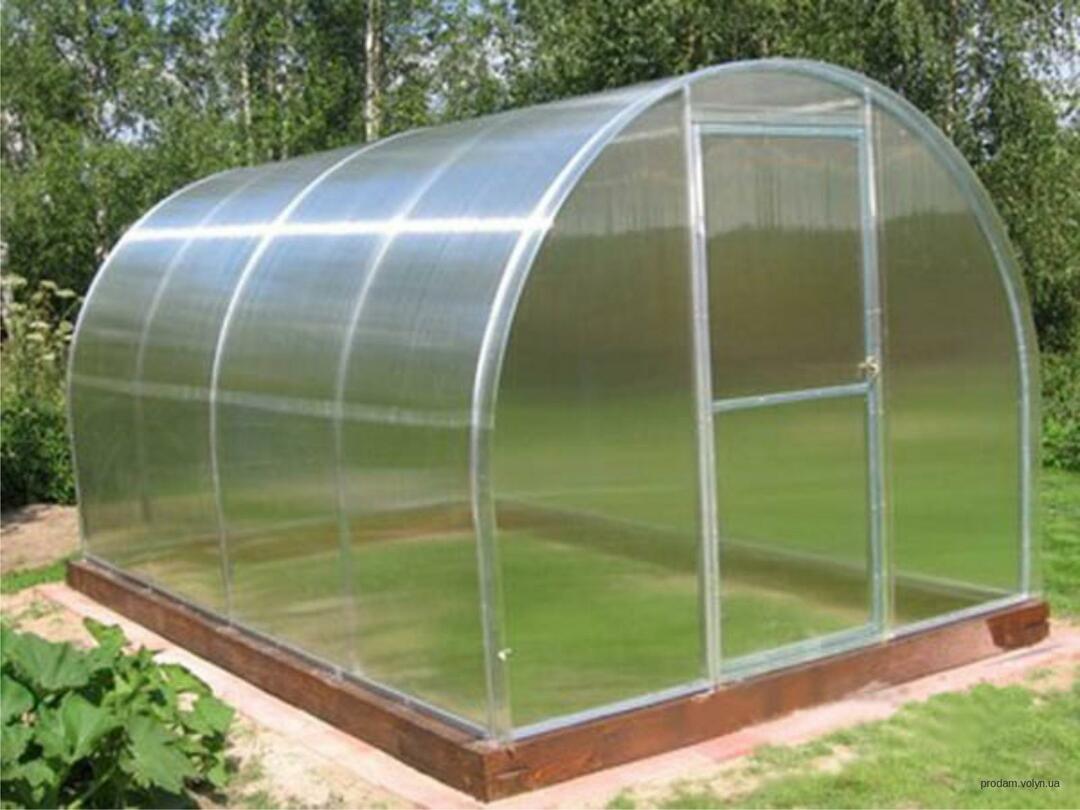 In a polycarbonate greenhouse, you can grow various vegetables