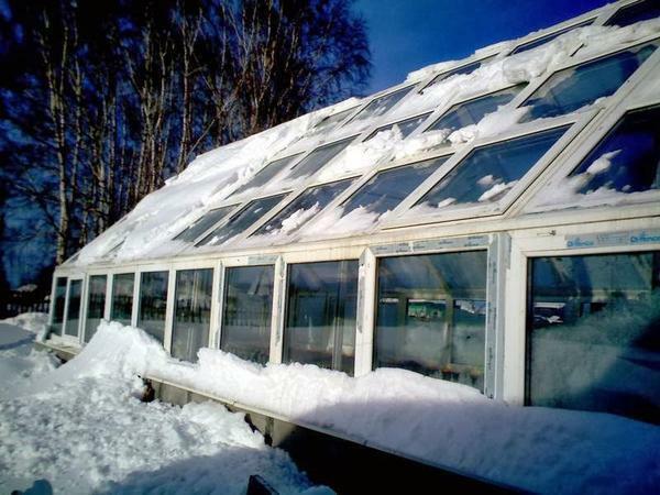 Depending on the type of heating chosen, the greenhouses are heated differently