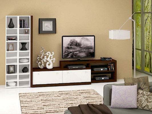 Furniture under the TV in the living room should be practical and attractive