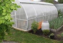 9-greenhouses-and-greenhouses-of-profile-pipe-and