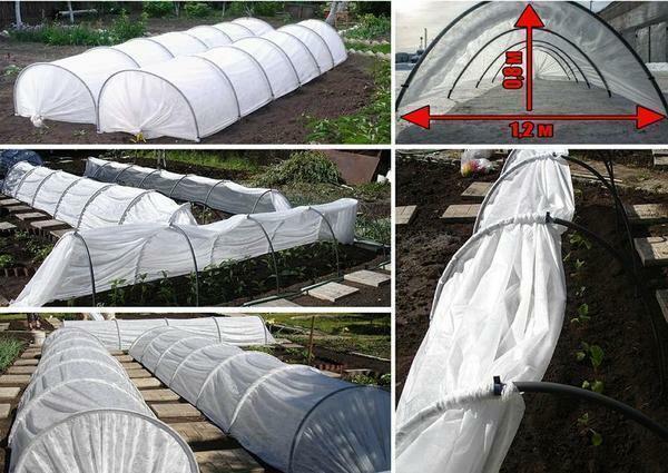 Before selecting the material for hiding a greenhouse, you need to calculate the exact area of ​​the area you want to hide