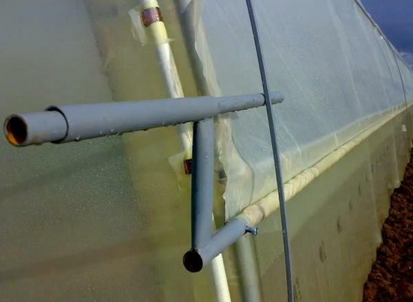 There are special ways of fastening, which help significantly extend the life of the film on the greenhouse
