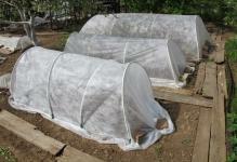 Arc-greenhouses-often-cover-spannondom-1-1024x768