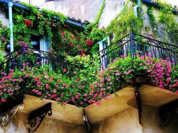 On the balcony, where the flowers are located, it is always pleasant to be in the atmosphere that they create
