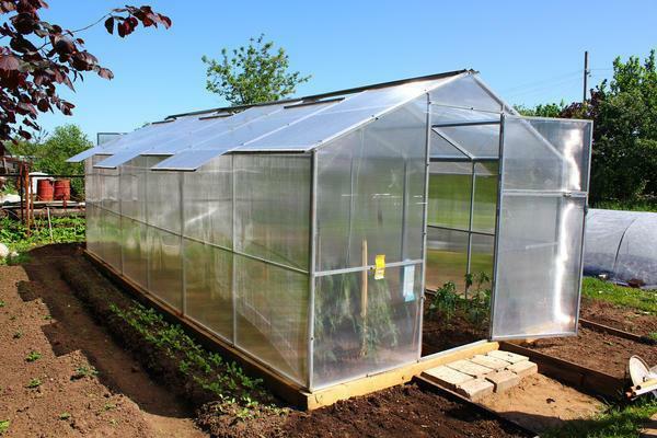 In the summer, such greenhouses are much easier to ventilate, since the flow of fresh air does not come through narrow doors, but through the roof