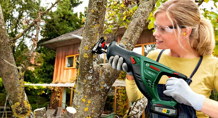 Dugattyús akkus fűrész: szerszám a kert karbantartásához és a munkadarab megmunkálásához