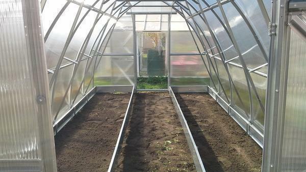 The beds, equipped with heating, allow to grow plant cultures even in winter