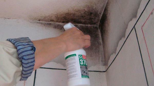Use disinfectants to disinfect mold