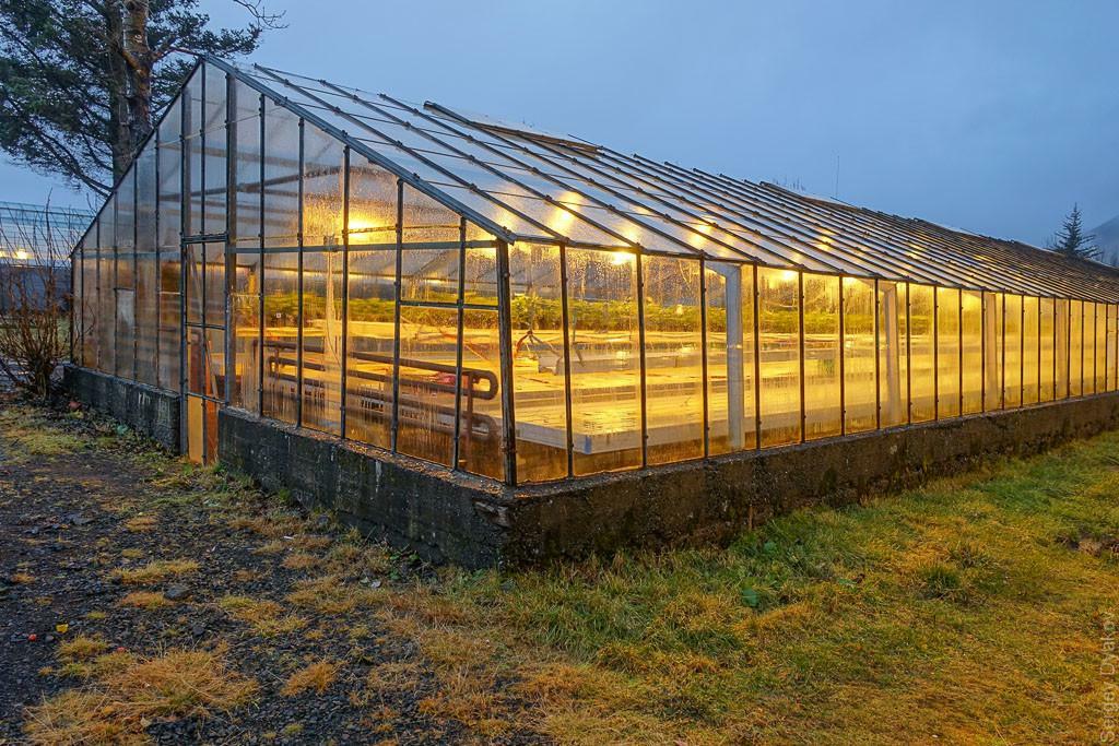 Year-round greenhouse: growing vegetables all year round, own greenhouse, garlic and flowers, raspberry advantageous
