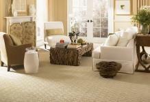 Berber paklājs-in-the-dzīvojamā istabā