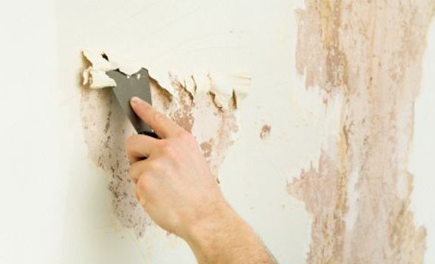 Limpeza da pintura velha na parede