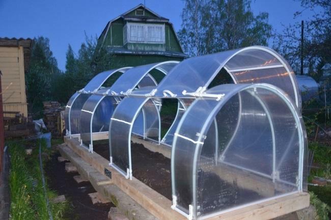 Greenhouses with an opening roof: a greenhouse with an opening top, a folding with their hands, an open Clever