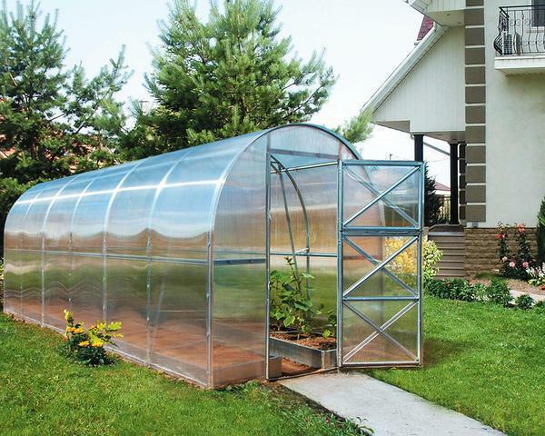 The greenhouse of the Dachnaya-Dvushka series was developed by the domestic manufacturer three years ago