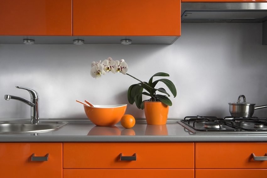 Die Platten für die Küche: ein praktisches und schönes Design der Wände und Schürze