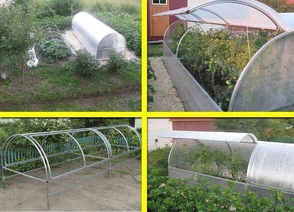 Greenhouse "Glória SP" pode ser um bom encontrar para os fãs de apanhar ervas, plantadas com as próprias mãos