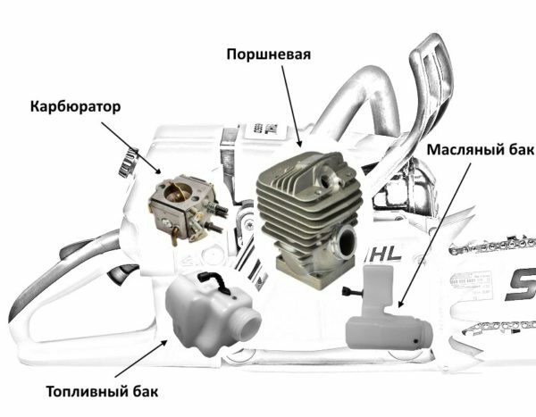 Basic elements of the internal structure of the saw Calm MS 660